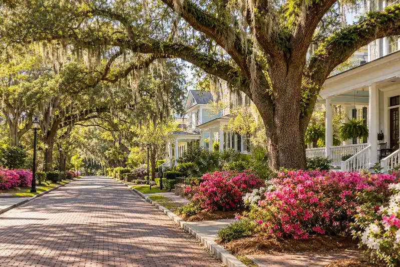 Drain Cleaning Service Areas Near Summerville SC
